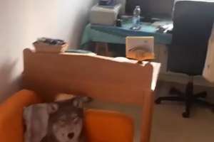 Property thumbnail 11