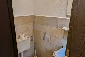 Idyllisch gewachsene Lage !!! Geräumiges freistehendes EFH, Keller, Carport, gr. GS. zentral gelegen – Loestraße 61, 47652 Weeze – Vorschaubild 4