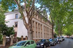 Frisch sanierte und moderne 3 Zimmerwohnung im Herzen von Biebrich! – Riehlstraße 32, 65203 Biebrich, Wiesbaden – Vorschaubild 13