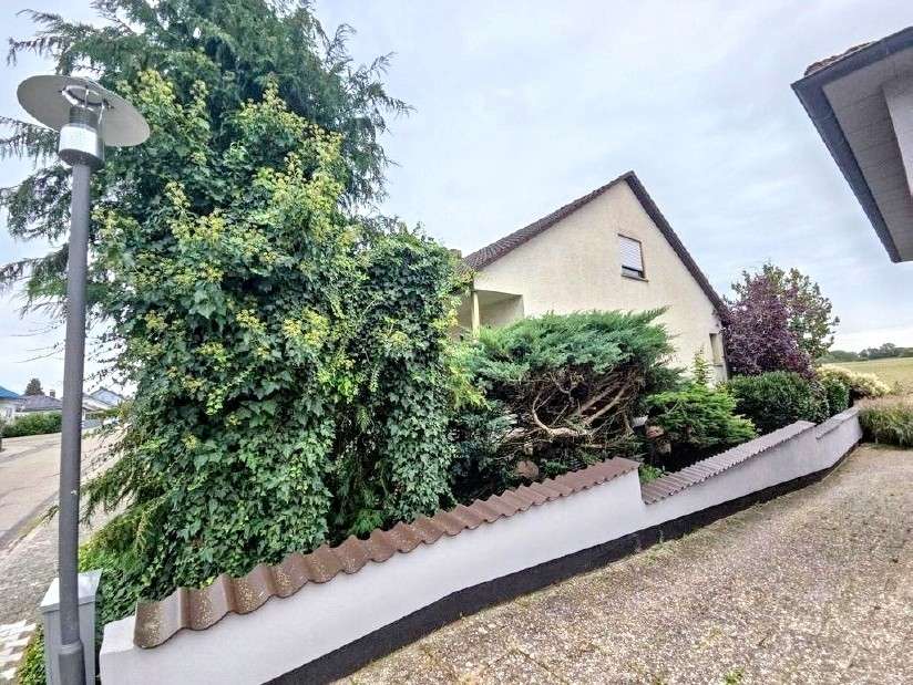 PREISREDUKTION: Modernisierungsbedürftiges Einfamilienhaus in guter Lage von Bürstadt-Bobstadt, Bergstraße Kreis – Bild 3