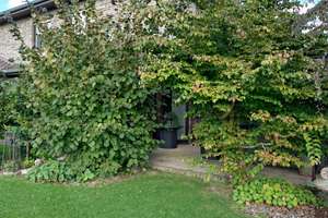 Idylle trifft auf Komfort – Ihr Traumhaus in Neurhede wartet auf Sie! – Die vollständige Adresse der Immobilie erhältst du vom Anbieter., 26899 Rhede (Ems) – Vorschaubild 11