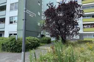 -- NEUBRÜCK -- 2 Zim. Whg. mit Balkon (Nr. 6) -- bitte auch "Sonstiges" lesen -- – Weismantelweg 15, 51109 Köln – Vorschaubild 2