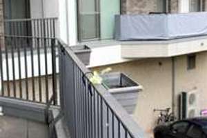 Property thumbnail 10