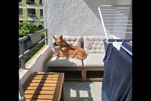 3-Zimmer-Wohnung mit Balkon in Göttingen – Pestalozziweg 4, 37081 Grone, Göttingen – Vorschaubild 9