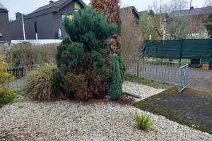 Gepflegtes Reihenmittelhaus in Bonn-Tannenbusch mit Garage – Die vollständige Adresse der Immobilie erhältst du vom Anbieter., 53119 Tannenbusch, Bonn – Vorschaubild 5