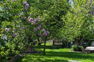  Zuhause mit großem Gartenparadies, zum Ankommen und Bleiben - mitten in Bochum-Langendreer – Die vollständige Adresse der Immobilie erhältst du vom Anbieter., 44892 Langendreer, Bochum – Vorschaubild 21