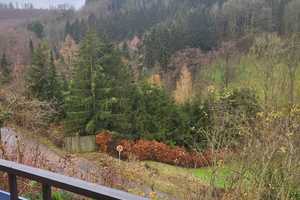 Traumhaus: Freiheit, Natur & lukrative Mieteinnahmen – Lutzenbrunnen 12, 74676 Hohenlohekreis – Vorschaubild 48