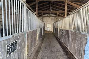 RESERVIERT !!Gr. Wohnhaus (4 WG )mit Pferdestall Grdst. 2215 m²+ 1,59 ha Pachtwiese in Wölschendorf – Die vollständige Adresse der Immobilie erhältst du vom Anbieter., 23936 Grevesmühlen – Vorschaubild 70