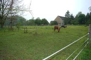 Hauptstadtmakler-Attraktiver Vierseitenhof in ländlicher Top-Lage – Meißen (Kreis) – Vorschaubild 4
