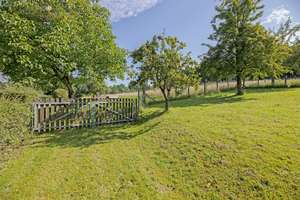 Idyllisches Zweifamilienhaus mit Pferdekoppel, großem Grundstück und grenzenloser Natur – Die vollständige Adresse der Immobilie erhältst du vom Anbieter., 64689 Grasellenbach – Vorschaubild 28