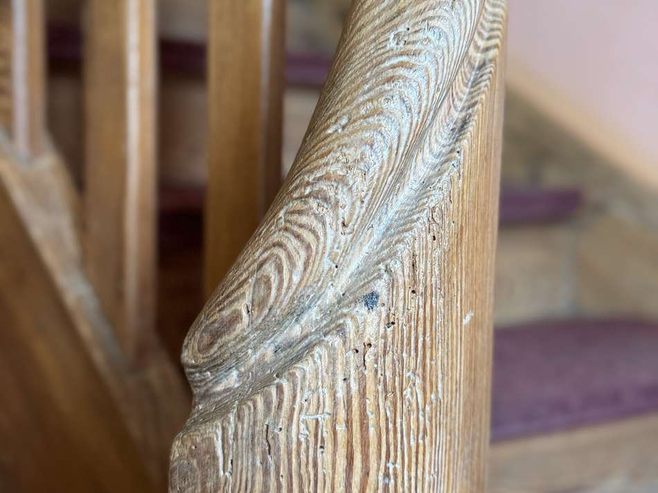 Detail