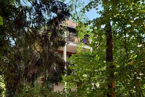 Junkersdorf: Ruhige 2-Zimmerwohnung im Grünen I Dachterrasse I Stellplatz optional – Die vollständige Adresse der Immobilie erhältst du vom Anbieter., 50858 Junkersdorf, Köln – Vorschaubild 11