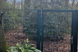 Außergewöhnliches Zweifamilienhaus in sehr guter bevorzugter Wohnlage am Zweckeler Wald – August-Schmidt-Straße 16, 45966 Gladbeck – Vorschaubild 14