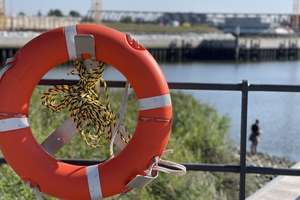 Property thumbnail 29