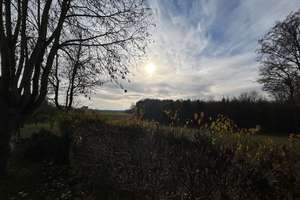Großes Haus für große Familie in idyllischer Ortsrandlage – Pfahlstr. 23, 91809 Wellheim – Vorschaubild 4