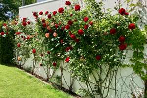 Property thumbnail 15