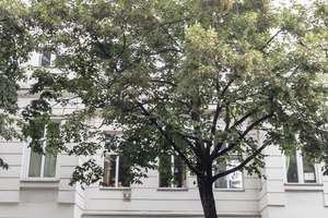 HOMESK - Erstbezug nach Sanierung! 4-Zimmer Altbau mit je Balkonen und Bädern im Prenzlauer Berg – Schönfließer Straße 2, 10439 Prenzlauer Berg, Berlin – Vorschaubild 38