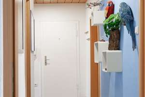 Property thumbnail 13