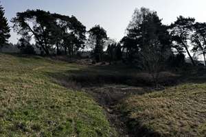 Property thumbnail 16