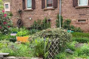Ein- Zweifamilienhaus sucht Handwerker in Speyerbrunn mit Garten und Garage – Bad Dürkheim (Kreis) – Vorschaubild 3