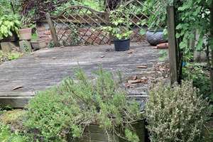 3 Zimmer mit Gartennutzung in Stuttgart – Die vollständige Adresse der Immobilie erhältst du vom Anbieter., 70186 Gablenberg, Stuttgart – Vorschaubild 10