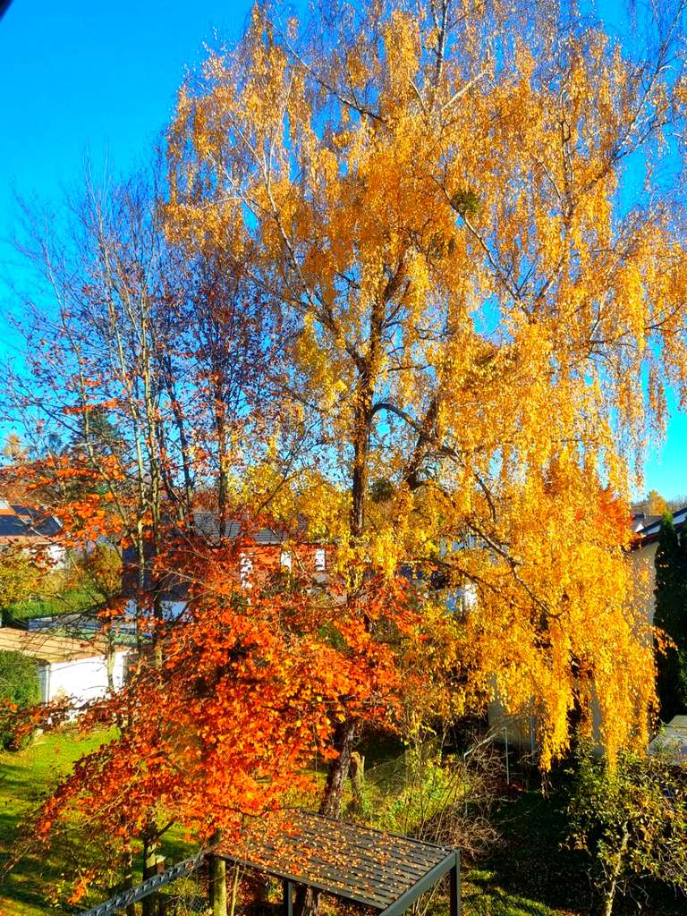 Immobilie in Kirchseeon - „Wohn(t)raum mit Seltenheitswert: DG-Charme trifft auf 95 m² privaten Gartenanteil“ - Bild 0