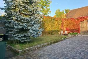 Alter Bauernhof zu verkaufen – Hauptstraße 17, 16348 Wandlitz – Vorschaubild 8