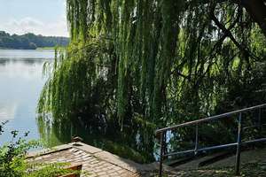 Property thumbnail 28