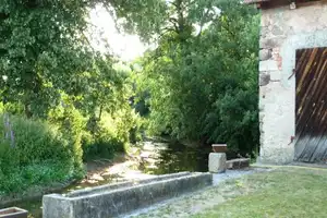 150 qm saniertes Herrschaftshaus auf 2.500 qm parkähnlichen Grund mit 5 ha Mühlenanwesen + Scheune – Erlangen-Höchstadt (Kreis) – Vorschaubild 6