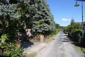Wohnhaus-Bungalow auf 2400 m² Grundstück mit Schwimmteich und Nebengelass – Kiefernweg 6, 14797 Potsdam-Mittelmark (Kreis) – Vorschaubild 55