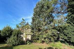 Zweifamilienhaus in Ladeburg / Bernau älteres Haus mit viel Potenzial – Barnim (Kreis) – Vorschaubild 2