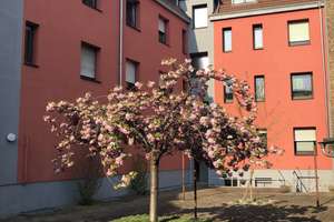 Die ideale Single-2-ZKB-Erdgeschoß-Wohnung in Mannheim-Waldhof – Roggenstraße 15, 68305 Waldhof, Mannheim – Vorschaubild 3