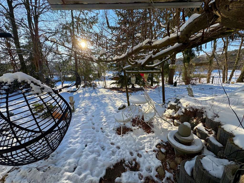 Immobilie in Suderburg - Provisionsfrei von privat: EFH (Bungalow) mit großen Grundstück und Tiefgarage - Bild 4