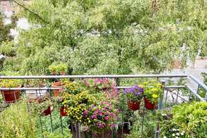 Entspannt leben, den Ausblick geniessen! – Köln – Vorschaubild 15