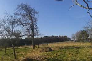 Westerwald: Charmanter Fachwerk-Hof mit freistehendem Haus, Scheune, Stall, Eckhaus und Weidefläche – Altenkirchen (Westerwald) (Kreis) – Vorschaubild 11