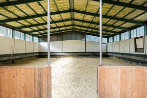 Exklusives Reitsportanwesen mit luxuriösem Wohnambiente im Naturparadies zwischen Hamburg und Bremen – Die vollständige Adresse der Immobilie erhältst du vom Anbieter., 27404 Gyhum – Vorschaubild 19