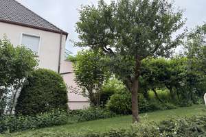 Wohnen im Grünen – frisch renovierte 3-Zimmer-Wohnung mit Sonnenterrasse – Hangstraße 11, 70327 Gehrenwald, Stuttgart – Vorschaubild 14