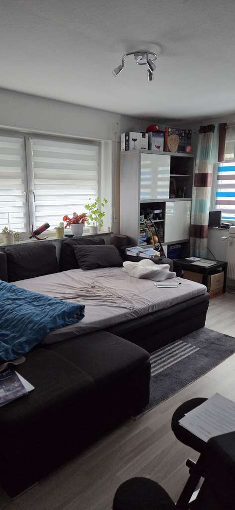 Immobilie in Bad Herrenalb - Barrierefreie 1-Zimmer Wohnung mit Gartenmitbenutzung in Bad Herrenalb - Bild 2