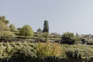 Moderne Architektur mit Blick auf den Weinberg in zentraler Lage – Die vollständige Adresse der Immobilie erhältst du vom Anbieter., 67433 Kernstadt, Neustadt an der Weinstraße – Vorschaubild 37