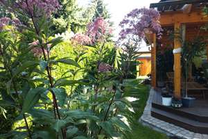 Property thumbnail 11