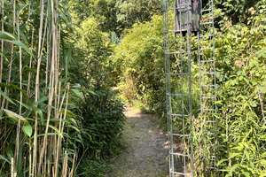 ***ZUHAUSE Haus mit vielen (An-Umbau) Möglichkeiten-zauberhafter kleiner Garten-solide Nachbarn*** – Die vollständige Adresse der Immobilie erhältst du vom Anbieter., 23569 Kücknitz, Lübeck – Vorschaubild 6