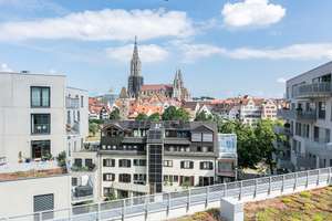 Traum-Aussicht - an der Donau mit Münsterblick