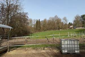 Viel Platz für die Familie! Großes Einfamilienhaus in Rheinbach zu verkaufen – Die vollständige Adresse der Immobilie erhältst du vom Anbieter., 53359 Rheinbach – Vorschaubild 24
