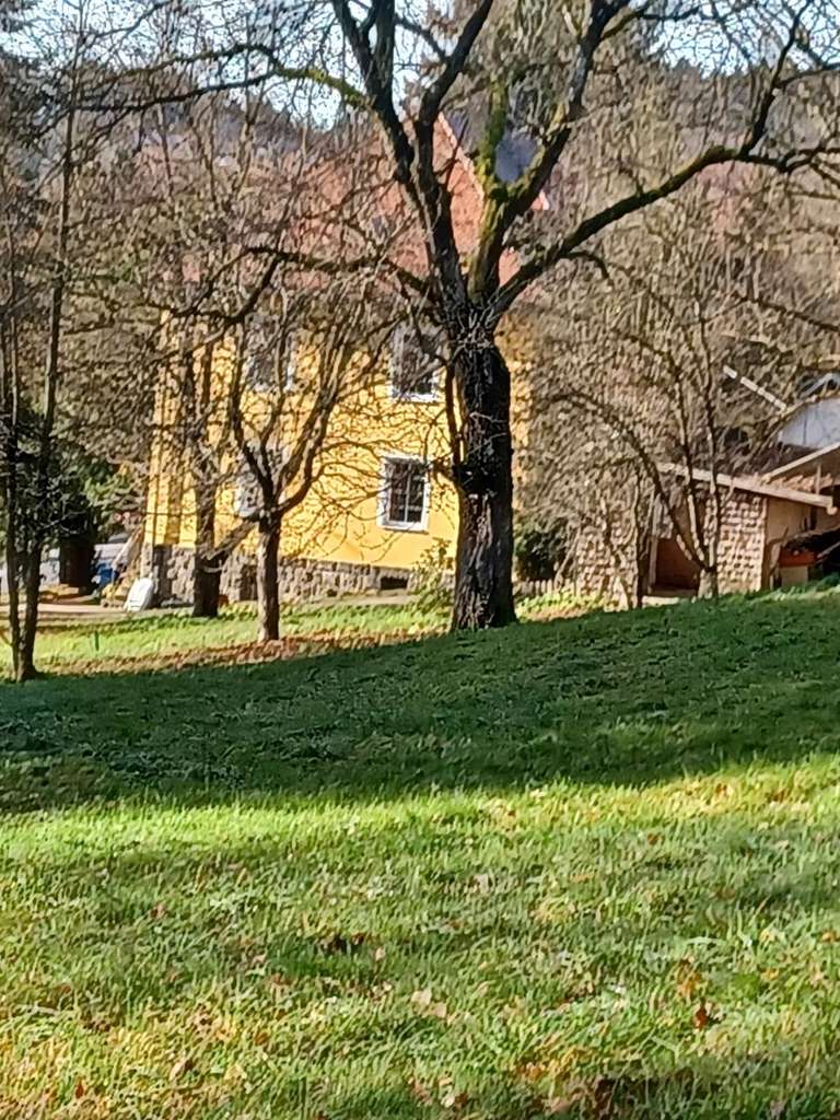 Immobilie in Freyung - Großes Wohnjuwel mit Traumgrundstück in Freyung - Bild 4