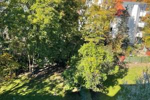 Property thumbnail 16