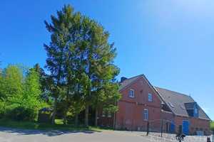 Seelenruhe für Mensch und Tier- kernsaniertes Landhaus mit Scheune und Pferdeweide – Stade (Kreis) – Vorschaubild 2