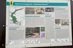 Zweifamilienhaus mit 6 Zimmern in exklusiver Lage direkt am Naturschutzgebiet "Dalbekschlucht" – Die vollständige Adresse der Immobilie erhältst du vom Anbieter., 21039 Börnsen – Vorschaubild 35