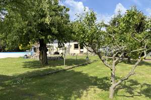 10.000 qm mit Privatstraße, Wohnhaus, Sauna-/Gästehaus, Pool, etc. – Glindower Mühlenstraße 15, 14542 Werder (Havel) – Vorschaubild 31