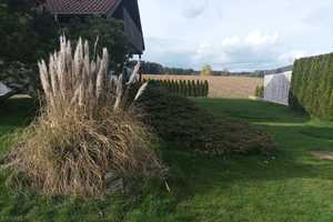 ** TOP Gepflegtes Wohnhaus in Bibertal  ** Ein Zuhause zum Träumen ** – Günzburg (Kreis) – Vorschaubild 20