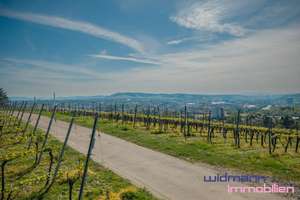 Ihr neues Zuhause: Mit Terrasse, Garten und Blick über die Weinberge – Die vollständige Adresse der Immobilie erhältst du vom Anbieter., 70376 Burgholzhof, Stuttgart – Vorschaubild 5